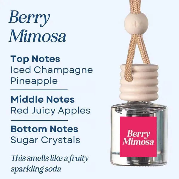 🍃Scented Car Air Freshener