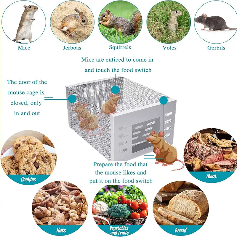 Stainless Steel Automatic Mousetrap