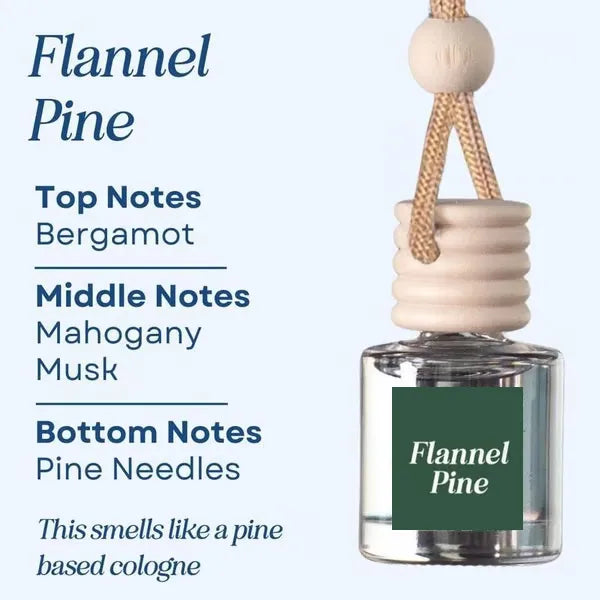 🍃Scented Car Air Freshener